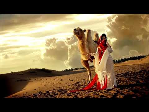 Ankoku Project & DJ Brahms - The Dream