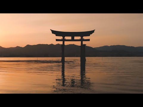 Aperture by Echo Season