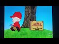 Acme Wildcat