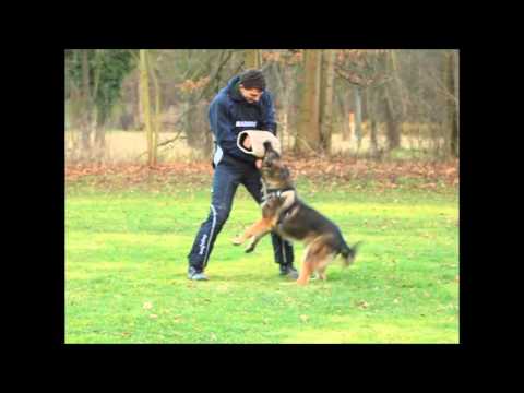 Iron Aykmar - obedience and protection