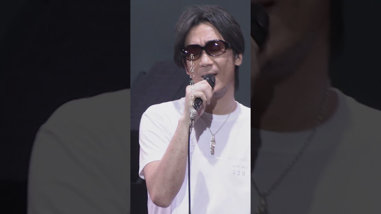 #コブクロ 「#桜 」ライブ映像フル公開中🌸