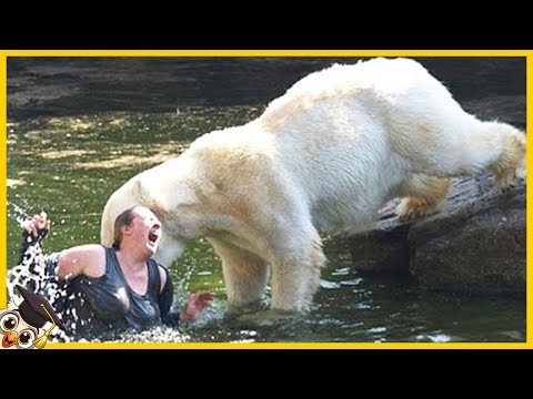 Top 10 Domste Mensen In De Dierentuin