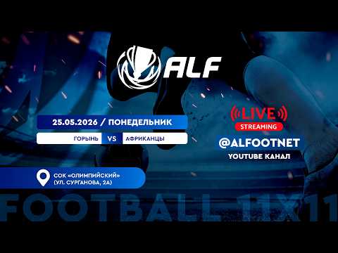 Чемпионат АЛФ по футболу - 2026 | 25 мая 2026 | Горынь : Африканцы