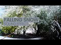 Falling Snow Sound Effect Royalty Free Sound Effects