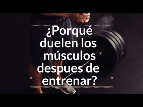 Explicación sobre adaptación muscular