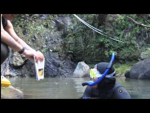 PBS Hawaii - HIKI NŌ Episode 415 | Lokelani Intermediate School | Skippy Hau