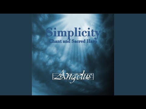 Salve Virgo Virginum (Live)