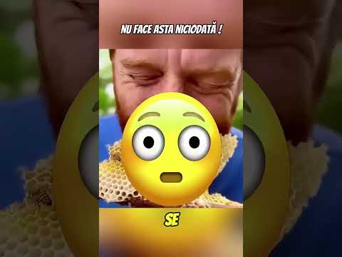 Nu Manca Niciodata Asta! #curiozități #shorts #trending #emotional