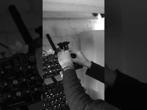 CIOZ recently in his studio in Berlin.