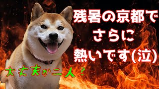 皆様もお気を付けくださいね！　てんちゃんネル