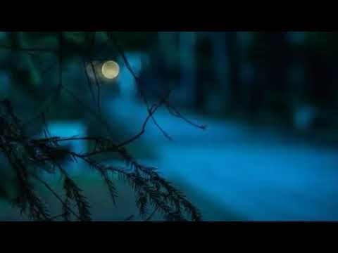 Lirik Lagu Demi Kowe || SKA VERSION