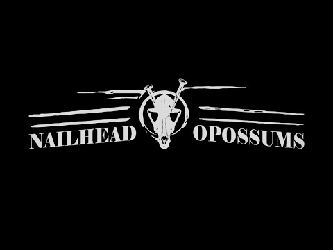 Nailhead Opossums  - Sleep The Day Away (Music Video)
