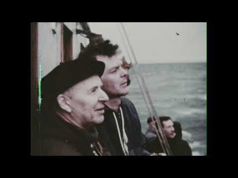 Volcano Surtsey (1966)