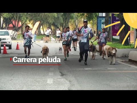 UN, DOG, TRES | Carrera con causa