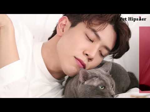 เบื้องหลังแฟชั่น Pet Hipster กับ “เกรท - สพล อัศวมั่นคง”