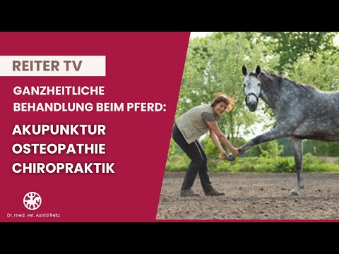 Übungen für TMJ Wunde Knöchel Ursachen