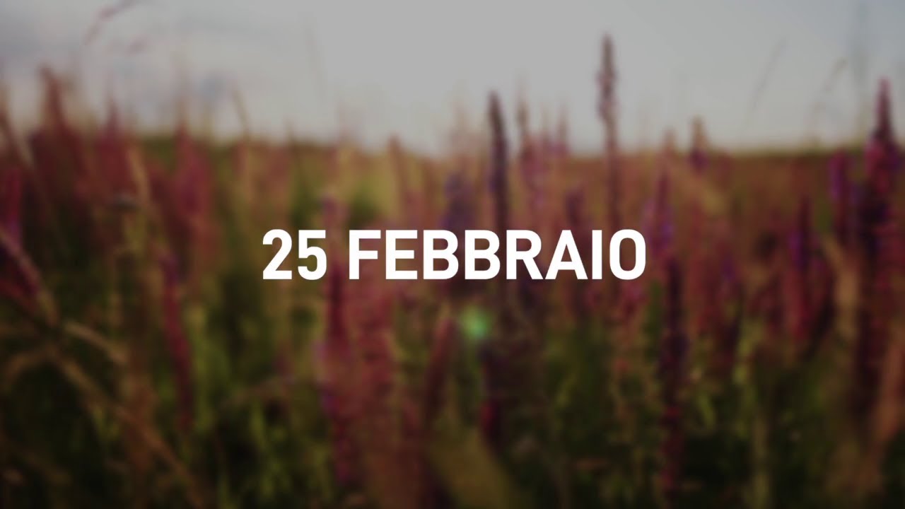 25 Febbraio 2025 | Meditazione Parole di Vita