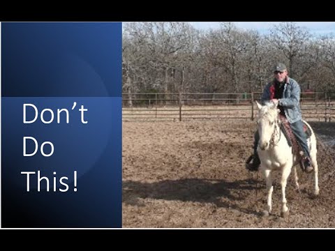 How to Ride a Horse That Spooks!