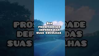 suas escolhas e seus resultados #educaçãofinanceira #investimentocerto