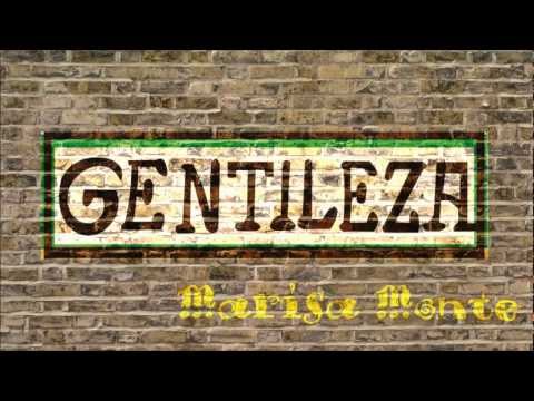 Gentileza video