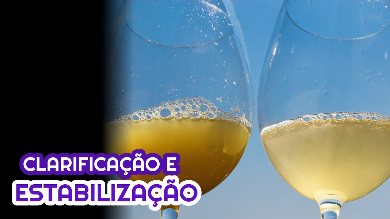 Clarificação e Estabilização na produção de vinho artesanal