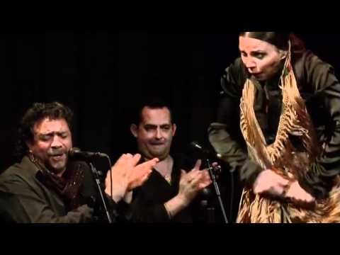 CASA PATAS, FLAMENCO EN VIVO #57 - VANESA COLOMA, BAILAORA