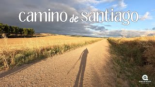 CAMINO de SANTIAGO - day 7