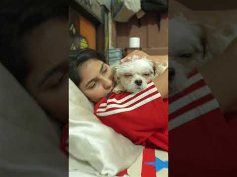 Dog Bite Gone Wrong 😢💔 #minivlog #minivlogshorts #doglover