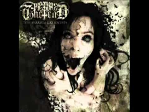 Picture The End - The Executioner