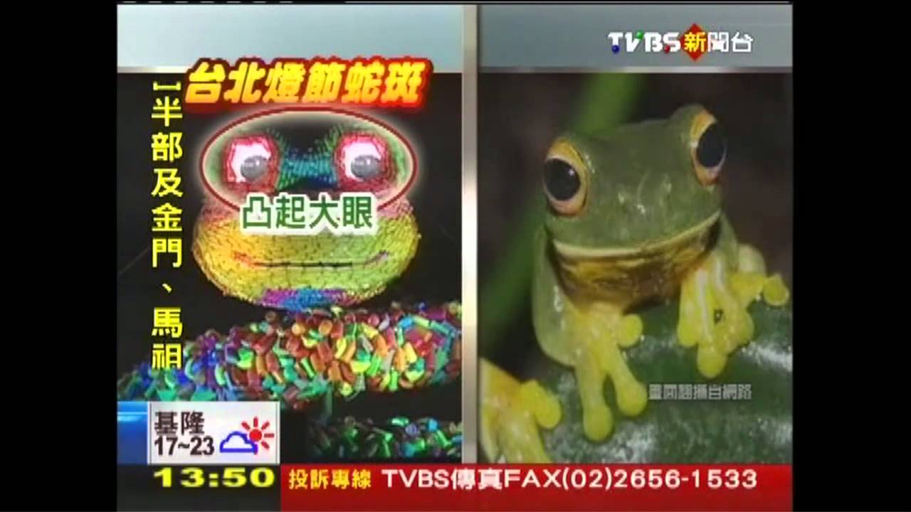 全台燈會蓄勢待發　台北燈節搶先試燈