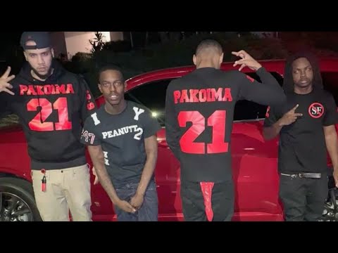 Pacoima Piru Bloods vs. 5 Different Hoods