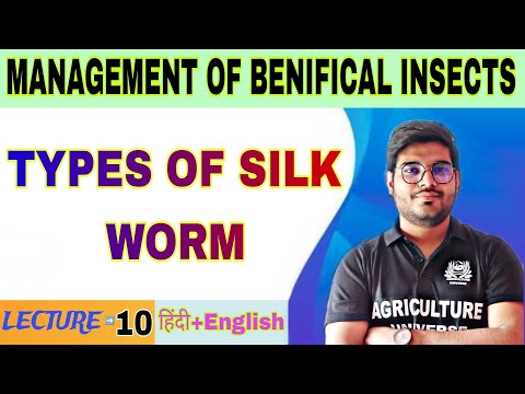 importance of beneficial insects management of benifical insects bsc agriculture 5th sem
