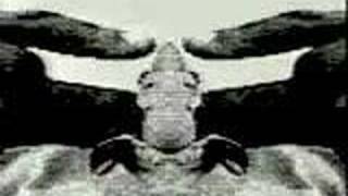 Electrelane - Film Music