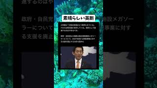 #政治 #自民党 #小林鷹之 #高市早苗