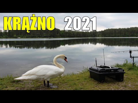 Zasiadka karpiowa. Jezioro Krążno 06.2021.