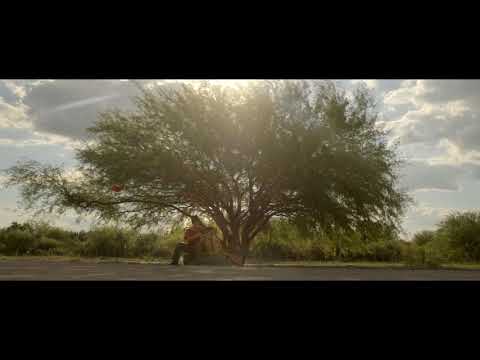 EL FLORECER DE UN BOMBISTO - Trailer - Dir: Nico Stefanazzi