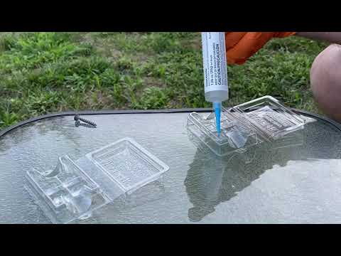 Ants Roaming Around in Homeowners Shed in Freehold, NJ