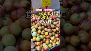 【貴重!ライチ】中国で今年最後の荔枝が美味すぎました! #中国屋台 #東莞 #中国鉄道大紀行