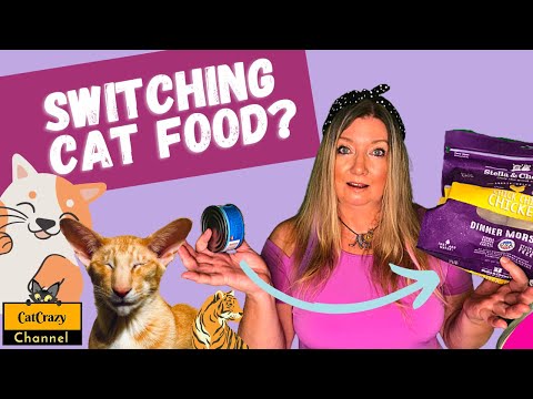 😻 CatCrazy: How to change your cat's food?