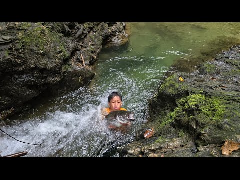 catching catfish, harvesting carp and catfish for sale, highland boy khai fishing skills.