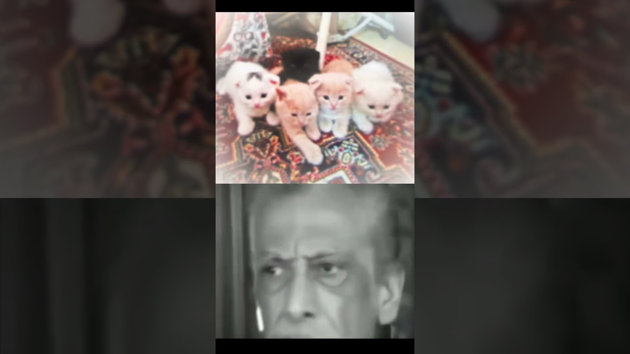 DO YOU REMEMBER THIS LEGENDARY MEME ?