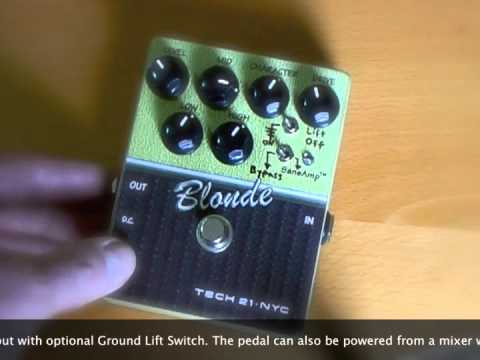 Putnam Guitars: Tech 21 Character Series Mods