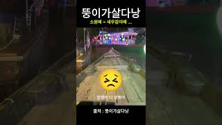 베트남 소원배….다신….. #live #먹방 #다낭숙소 #다낭 #travel #뚱이 #food #뚱이가살다낭…