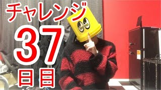 【SKUNKSノボルの】ベース初心者が100日間ベースを弾いたらどれほどうまくなるのか？37日目【チャレンジ動画】