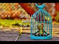 난 갇혀있지 않아 SHELLS Jailbird 가사