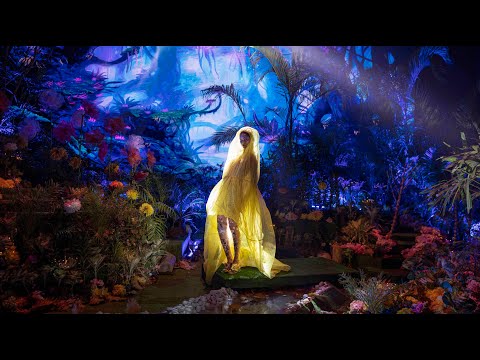 The Enchanted   Rahul Mishra Couture Spring 2022 Fashion Film