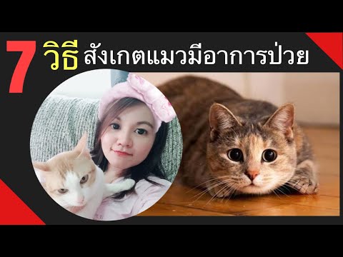 โรคผิวหนังภูมิแพ้ในเด็ก SPb Lungwort ในโรคสะเก็ดเงิน