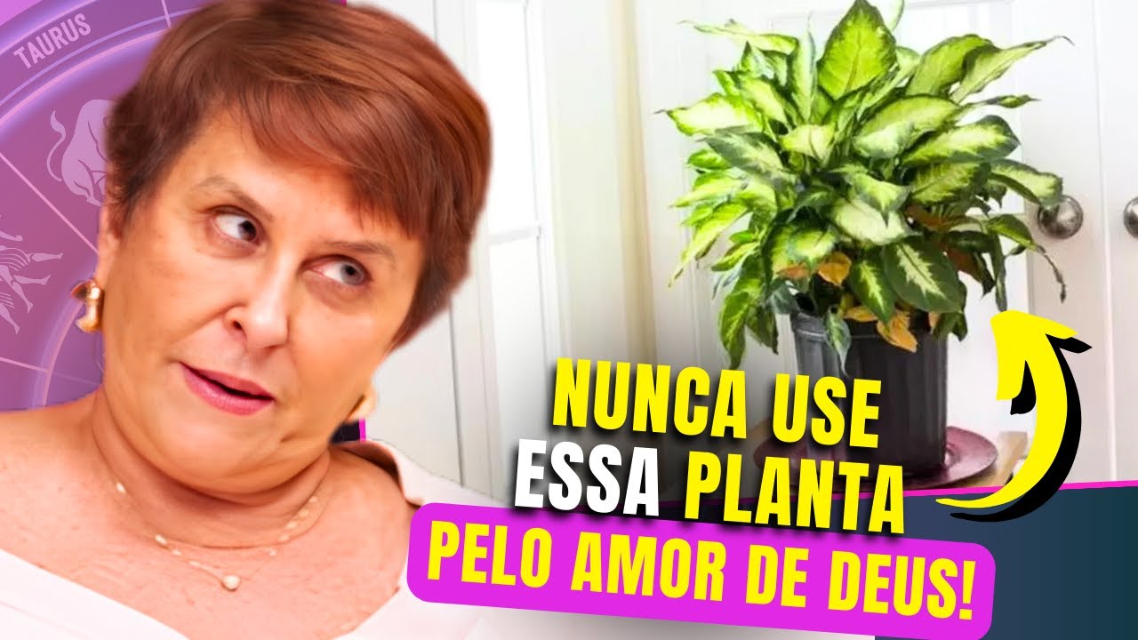 A MAGIA das PLANTAS e como usar corretamente | Márcia Sensitiva