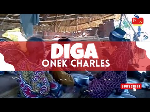 Onek Charles - Diga (Official Music Audio) Acoli Pro Evo TV