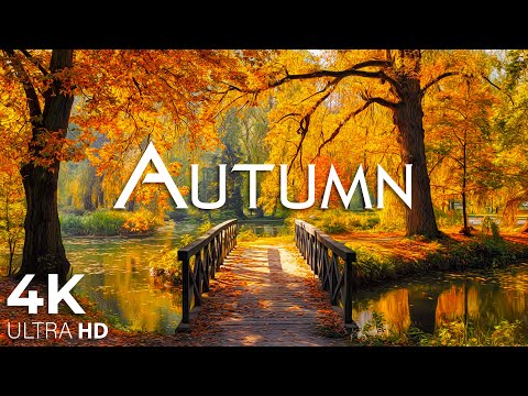 Enchanting Autumn Forests with Beautiful Piano Music🍁4K Autumn Ambience & Fall Foliage